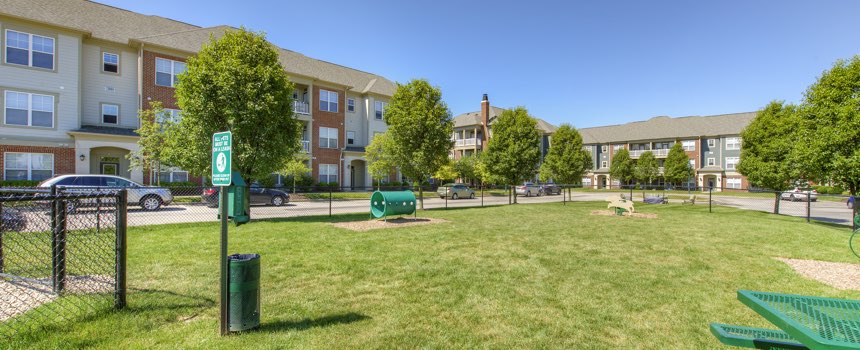 Picture of dog park in our Greenwood apartment community